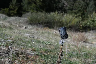 DSC_6508 (Large).JPG